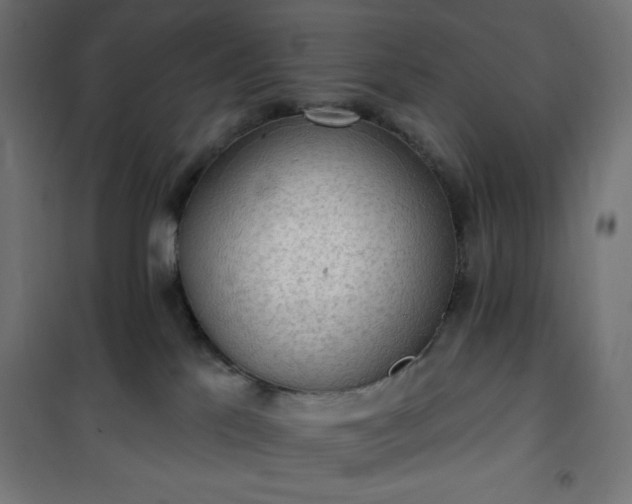 X0000101150041200807071201