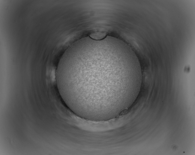 X0000101150042200807071201