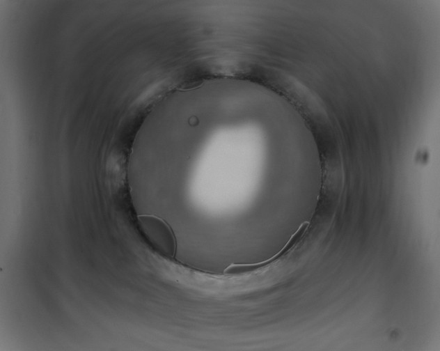 X0000101150043200807071201