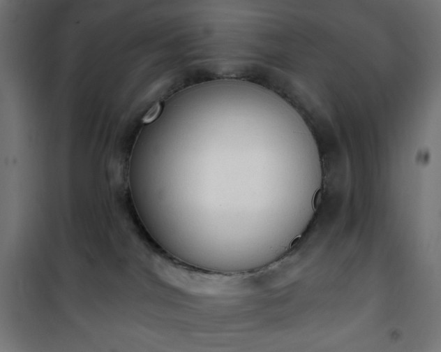 X0000101150044200807071201