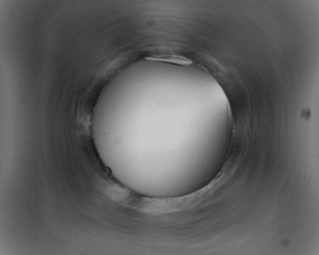 X0000101150045200807071201