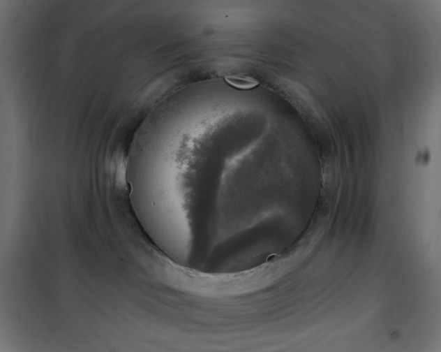 X0000101150046200807071201