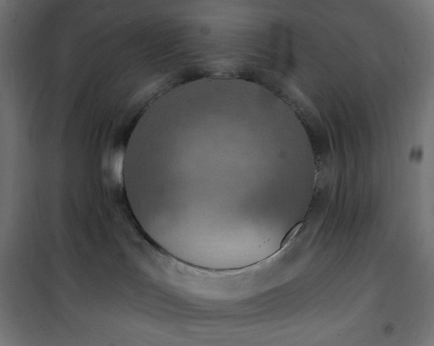 X0000101150047200807071201