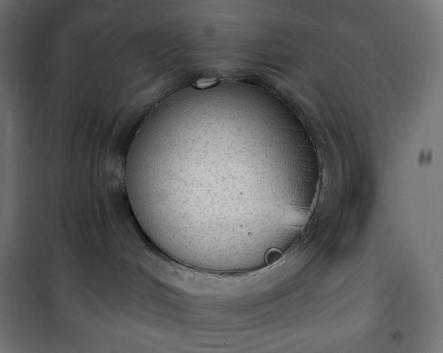 X0000101150048200807071201