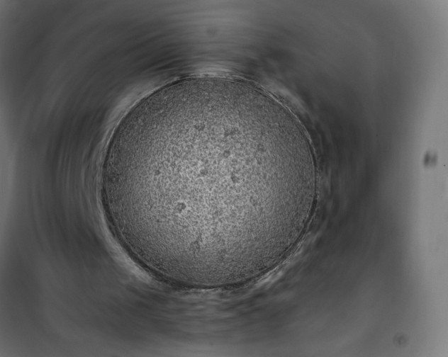 X0000101150049200807071200