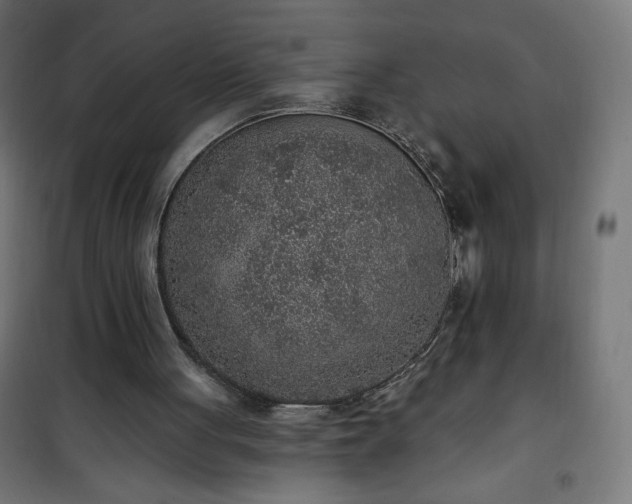 X0000101150051200807071200