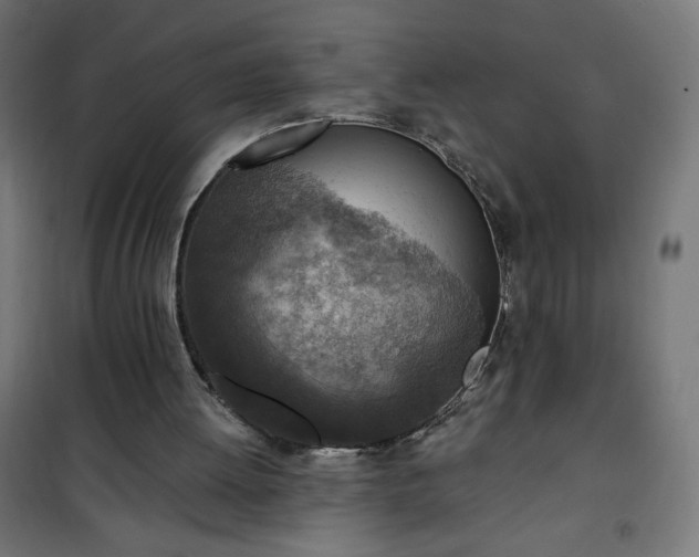 X0000101150052200807071200