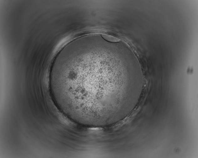 X0000101150053200807071200