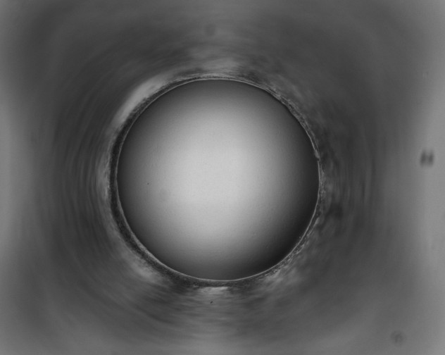 X0000101150054200807071200