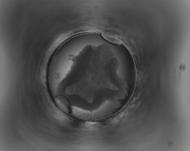 X0000101150055200807071200