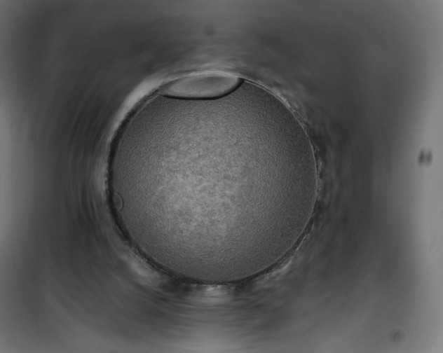 X0000101150056200807071200