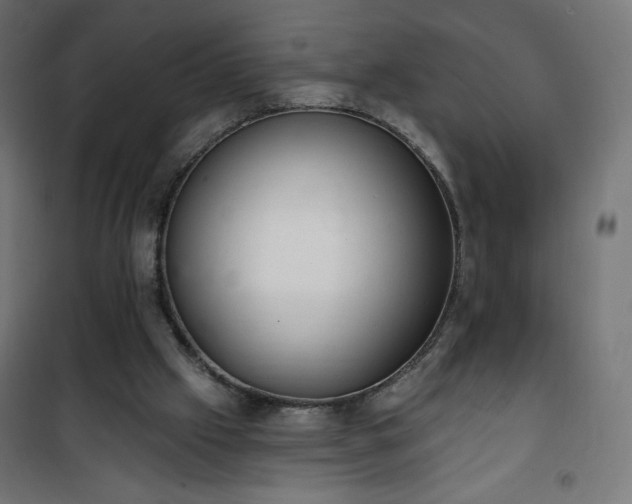 X0000101150057200807071200