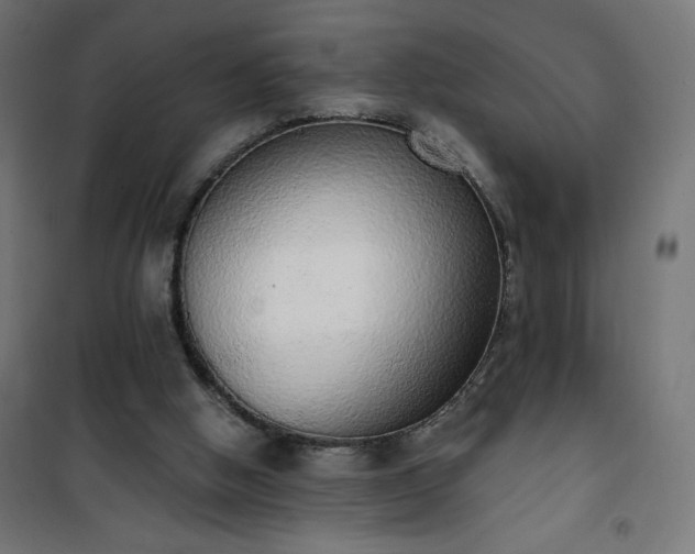 X0000101150058200807071200