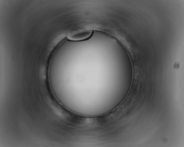 X0000101150060200807071200