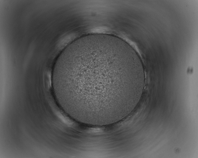 X0000101150061200807071200