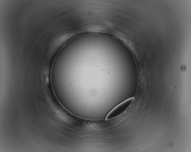 X0000101150062200807071200