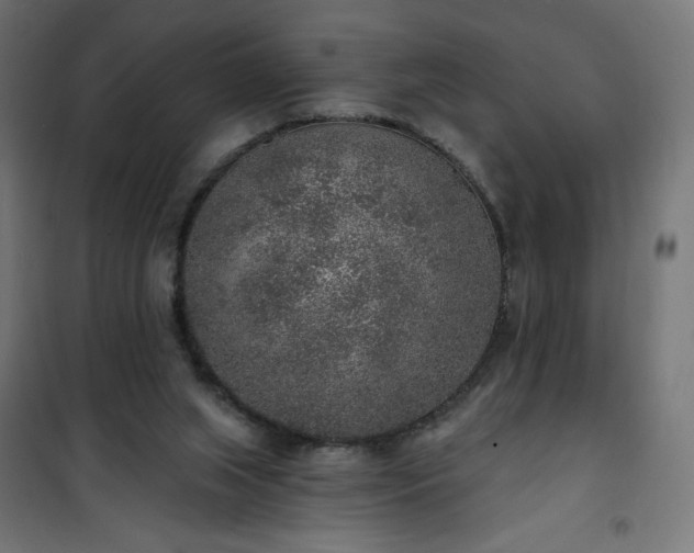 X0000101150063200807071200