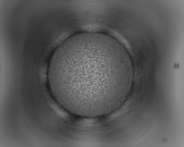 X0000101150065200807071200