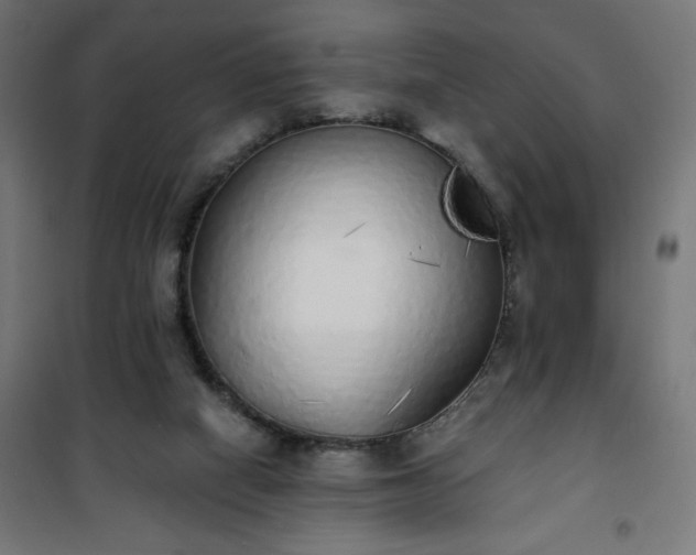 X0000101150066200807071200