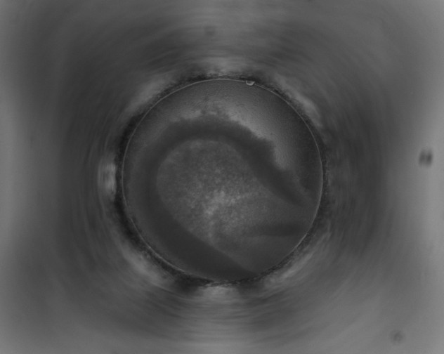 X0000101150067200807071200