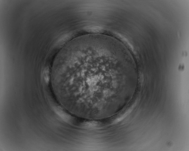 X0000101150069200807071200