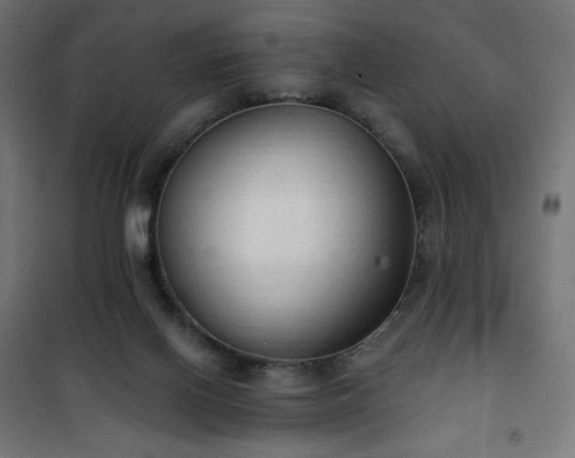 X0000101150070200807071200