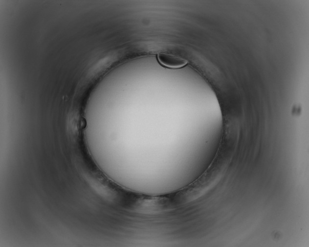 X0000101150072200807071200