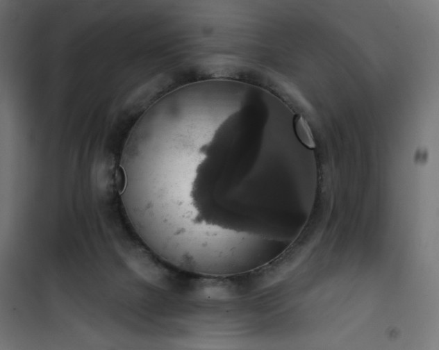 X0000101150073200807071200