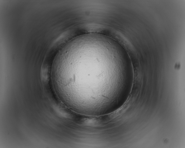 X0000101150074200807071200