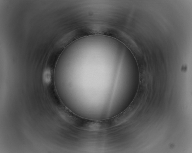 X0000101150075200807071200