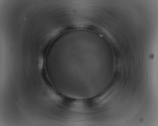 X0000101150076200807071200