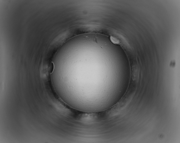 X0000101150077200807071200