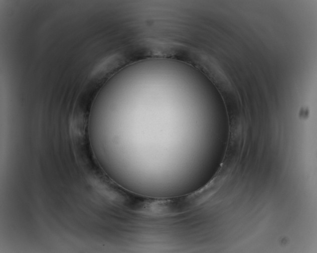 X0000101150078200807071200