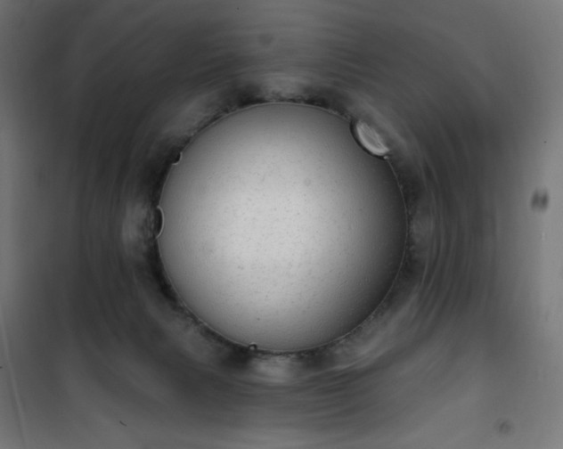 X0000101150079200807071200