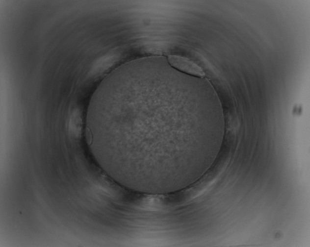 X0000101150080200807071200