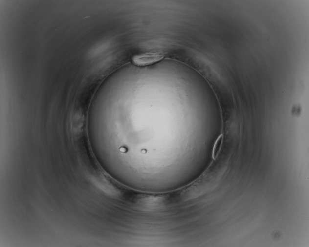 X0000101150081200807071200