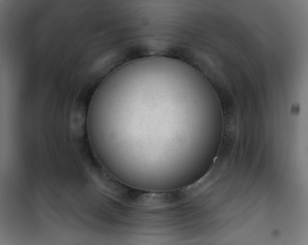 X0000101150082200807071200