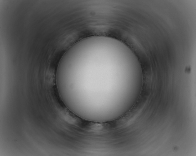 X0000101150083200807071200