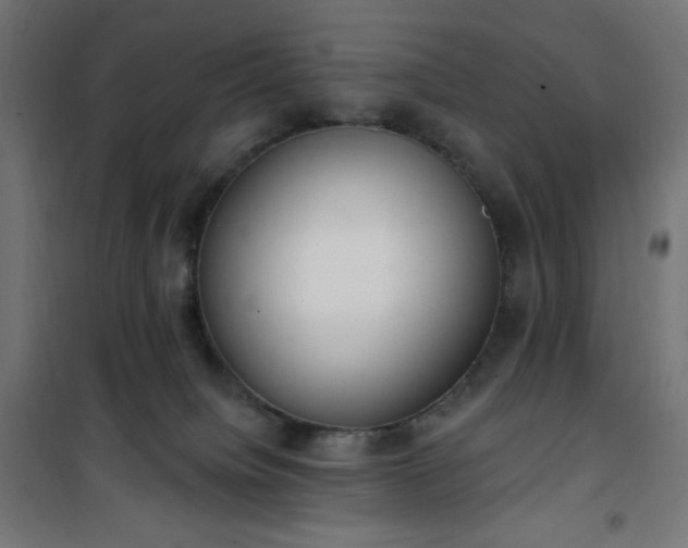 X0000101150084200807071200