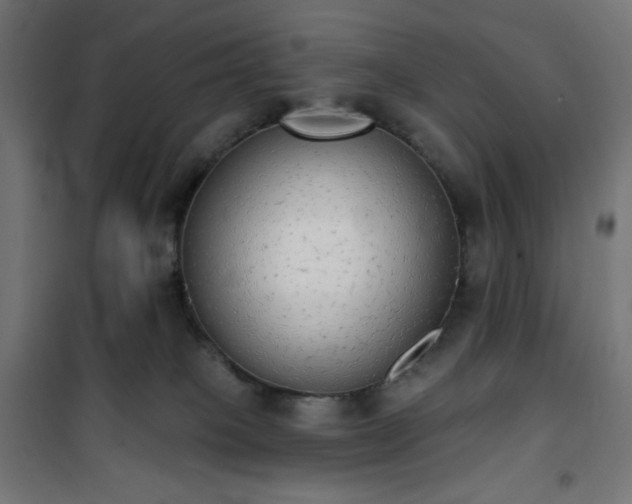 X0000101150085200807071200