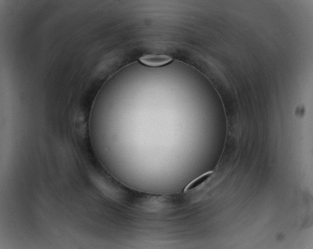 X0000101150086200807071200