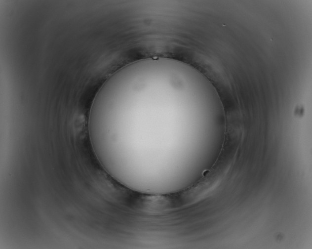 X0000101150087200807071200