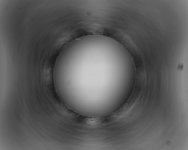 X0000101150088200807071200