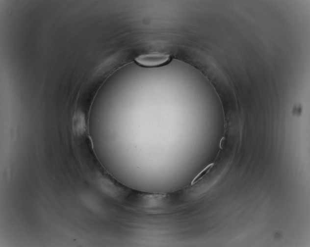 X0000101150089200807071200