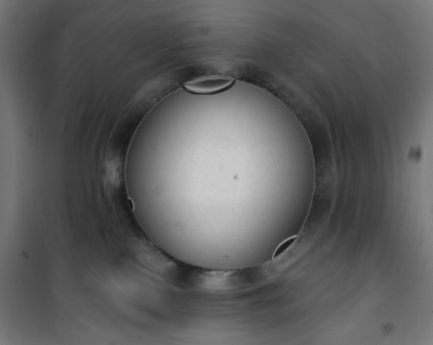 X0000101150090200807071201