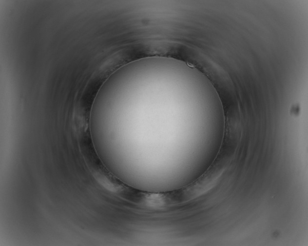 X0000101150091200807071201