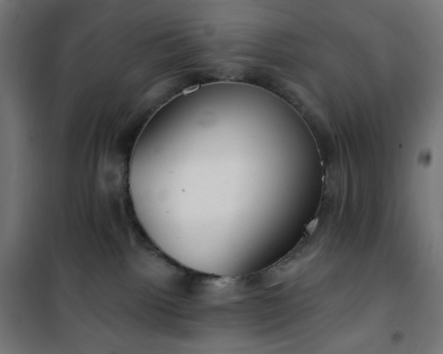 X0000101150092200807071201