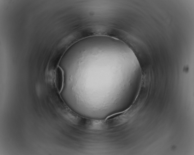 X0000101150093200807071201