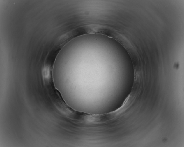 X0000101150094200807071201