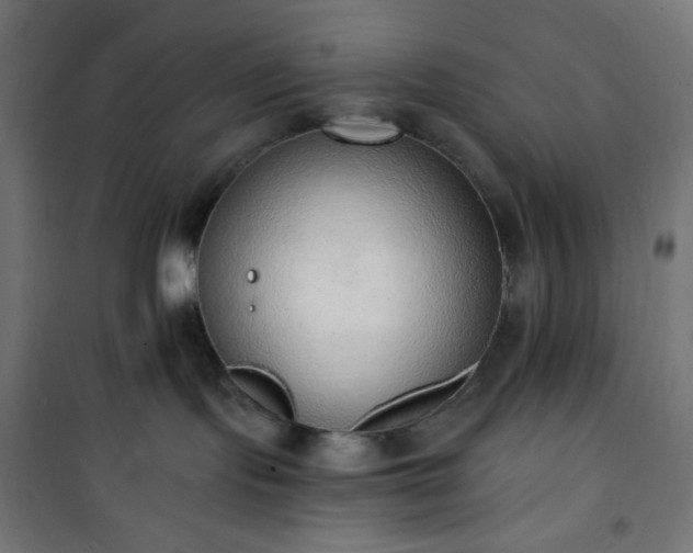 X0000101150095200807071201